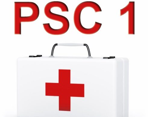 psc1.jpg